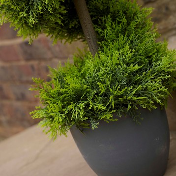 Artificial Cypress Topiary Twirl Tree Image