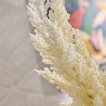 Feather White Pampas Grass Plume Stem image