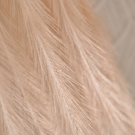 Blush Pink Artificial Pampas Stem image