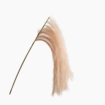 Blush Pink Artificial Pampas Stem Image