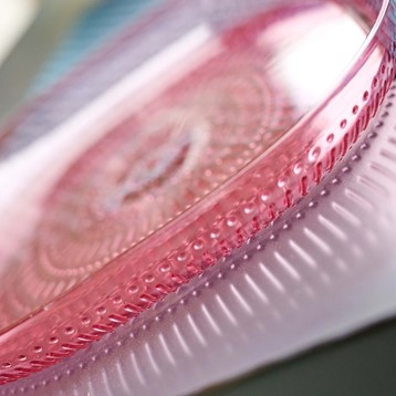 Embossed Pink Plate Image