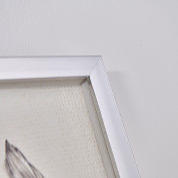 Angel Left Wing Framed Print Image