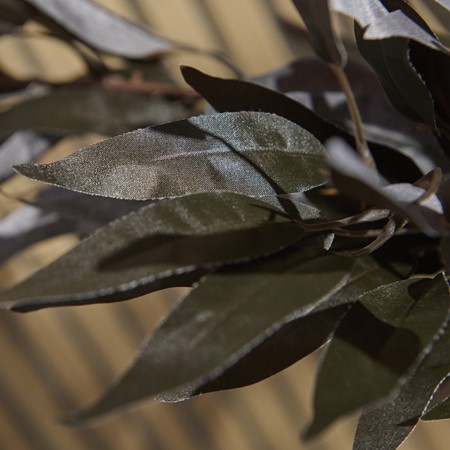 Jewel Toned Burgundy Eucalyptus Foliage image
