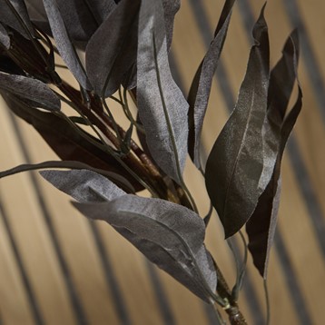 Jewel Toned Burgundy Eucalyptus Foliage Image
