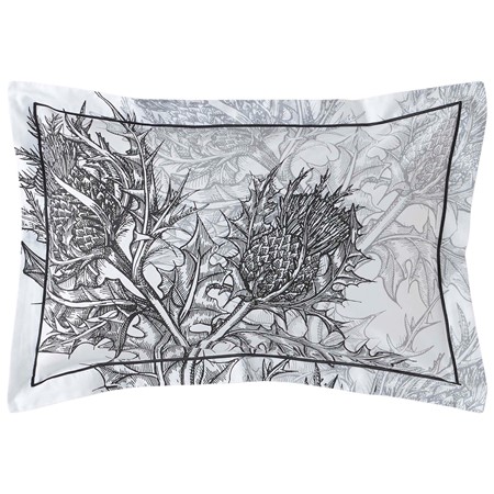 Timorous Beasties Thistle Carbon Oxford Pillowcase Pair image