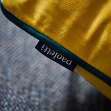 Riva Paoletti Meridian Cylon Velvet Piped Cushion Image