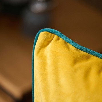 Riva Paoletti Meridian Cylon Velvet Piped Cushion Image