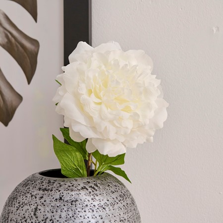 Pure Peony Stem primary image