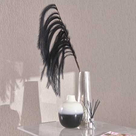 Black Pampas Grass Spray primary image