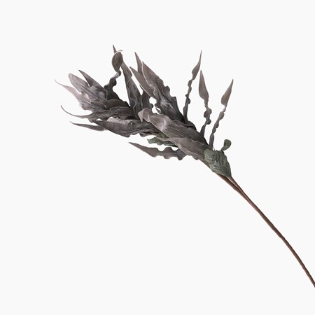 Gladiola Double Stem - Grey image