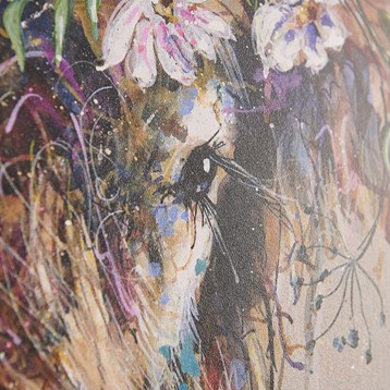 Colourful Highland Cow Framed Print Image