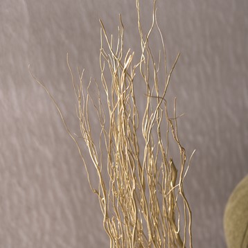 Gold Willow Branch Image