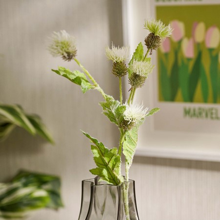 White Melancholy Thistle Spray Stem primary image