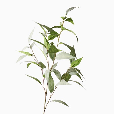 Bamboo Spray Stem image