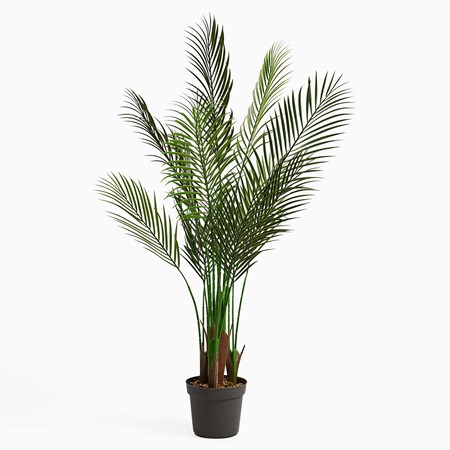 Artificial Phoenix Palm image