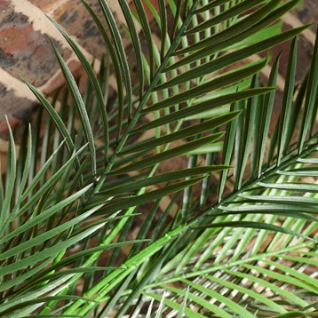 Artificial Phoenix Palm Image