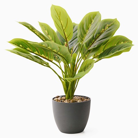 Artificial Prayer Plant