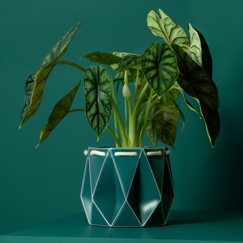 POTR Self-Watering Pot - Dark Teal