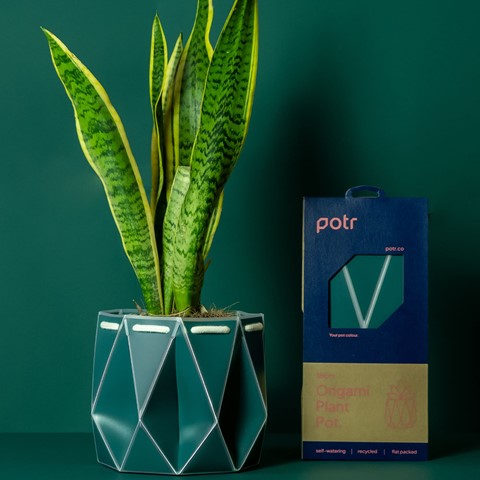 POTR Self-Watering Pot - Dark Teal