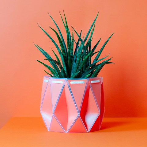 POTR Self-Watering Pot- Coral