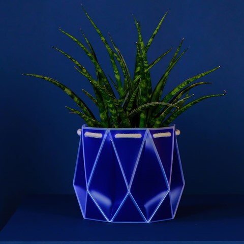 POTR Self-Watering Pot - Navy
