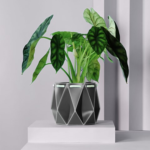 POTR Self-Watering Pot - Slate Grey