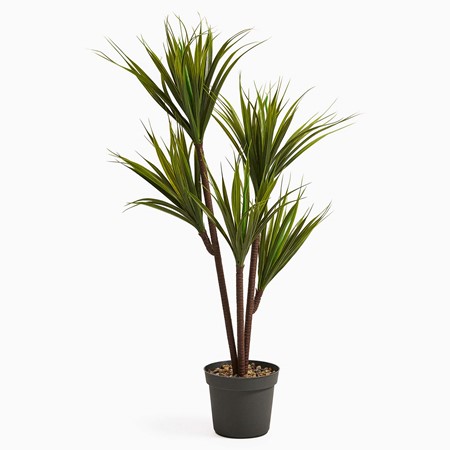 Artificial Dragon Tree Plant image