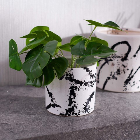 Small Sorrell Plant Pot Black & White