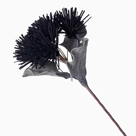 Black Pincushion Foam Flower image