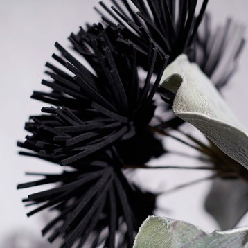 Black Pincushion Foam Flower Image