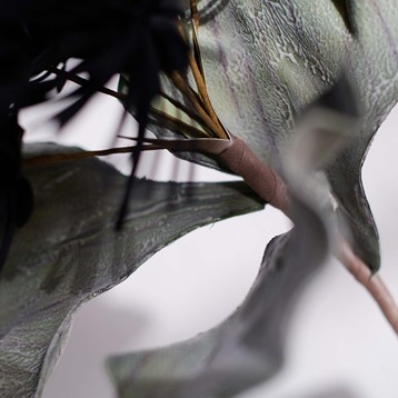 Black Pincushion Foam Flower Image