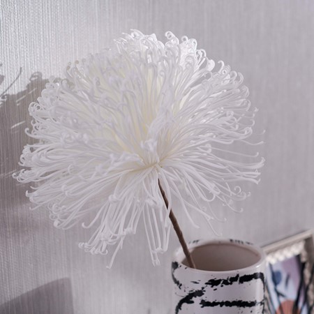 White Dandelion Foam Flower primary image