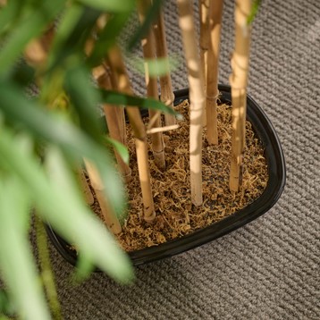 Artificial Bamboo Plant Image