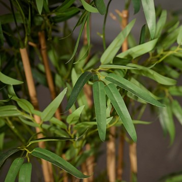 Artificial Bamboo Plant Image