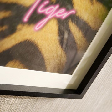 Hello Tiger Animal Print Wall Art Image