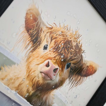Baby Highland Cow Up Close Liquid Art Image