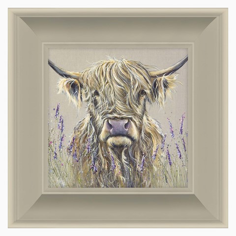 Highland Cow Lavender Framed Print