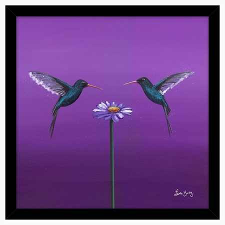 Two Hummingbirds Purple Framed Print Image