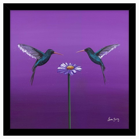 Two Hummingbirds Purple Framed Print