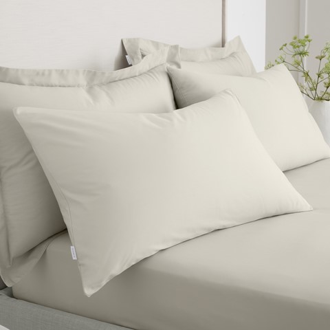 Percale Natural Standard 200 Thread Count Pillowcase Pair