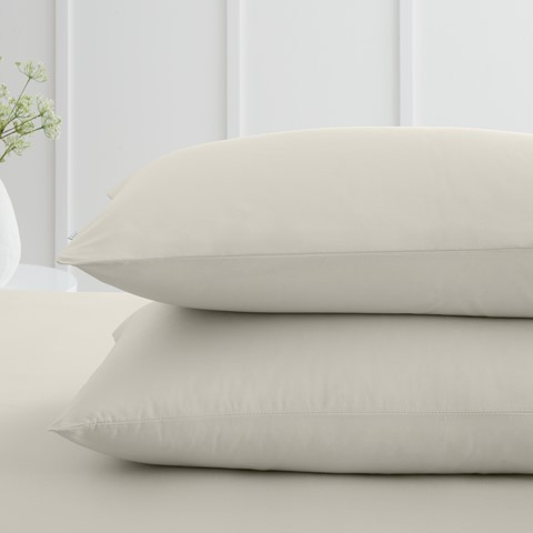 Percale Natural Standard 200 Thread Count Pillowcase Pair