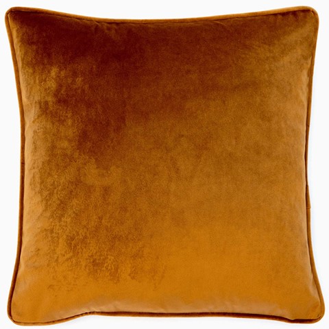 Luxe Velvet Piped Tan Cushion