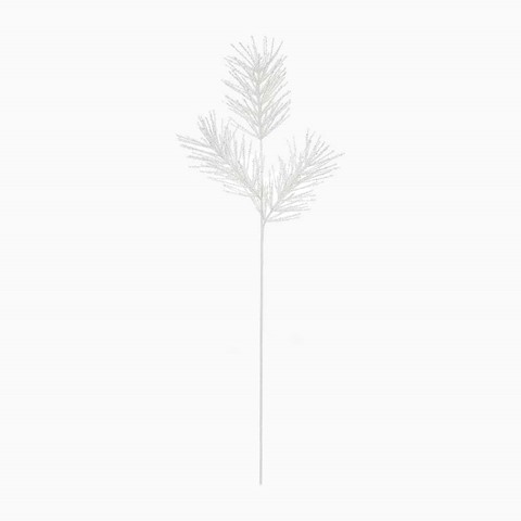 White Bristle Fern Stem