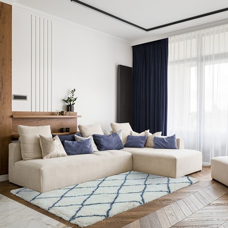 Ayda Cream & Blue Rug primary image