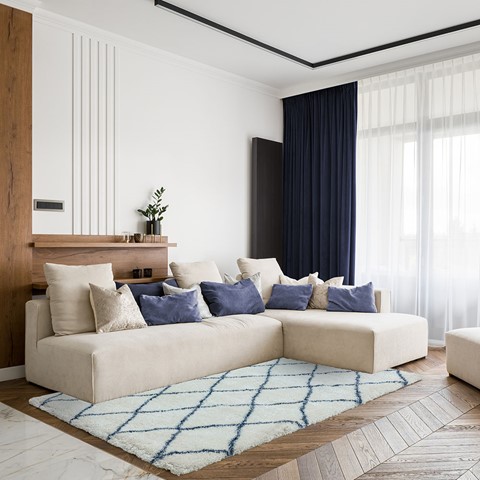 Ayda Cream & Blue Rug