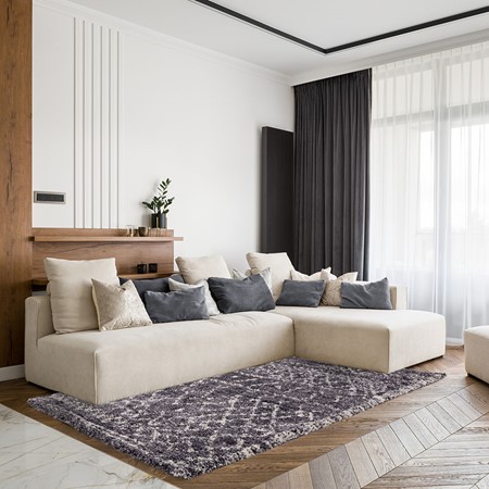 Ayda Grey & Cream Rug primary image
