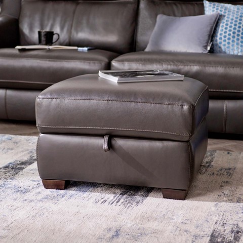 Dino Storage Footstool