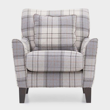 Fontwell Accent Chair primary image