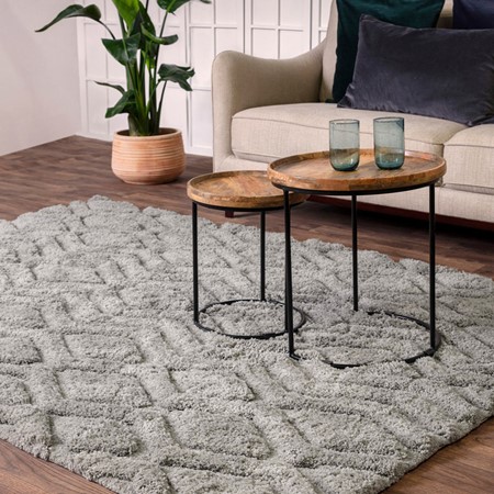 Harrison Silver Rug primary image