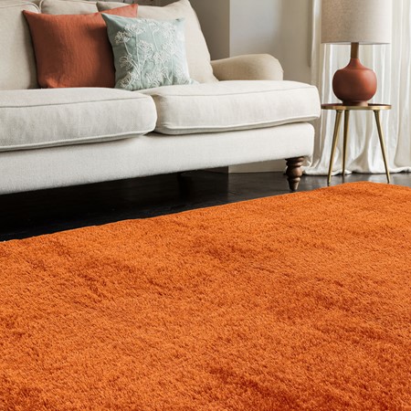 Payton Orange Rug primary image
